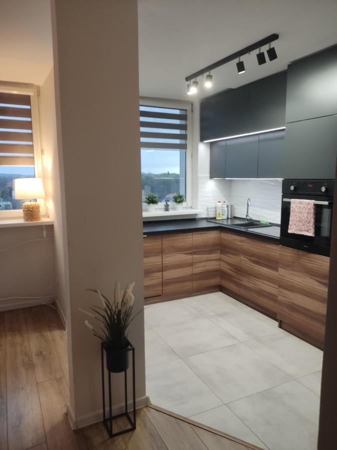 Apartament Z Widokiem Na Miasto กลีวิตเซ ภายนอก รูปภาพ