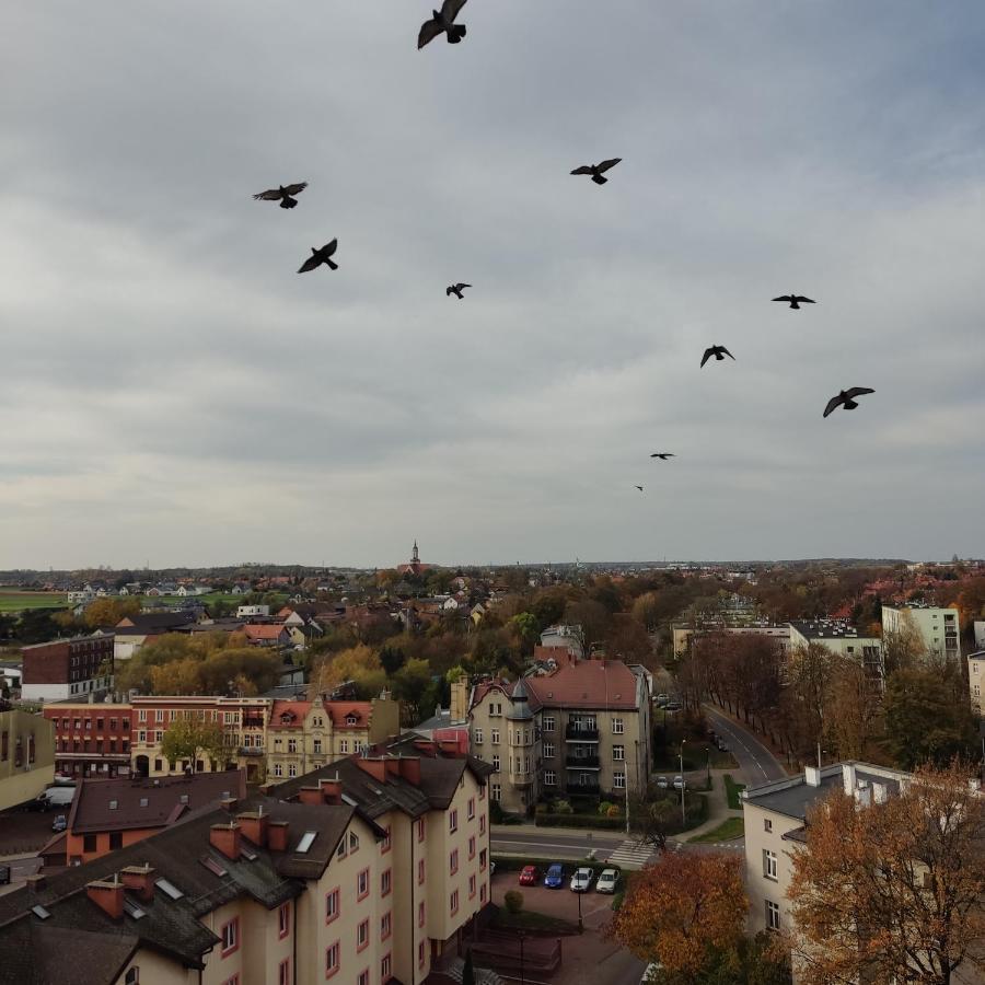 Apartament Z Widokiem Na Miasto กลีวิตเซ ภายนอก รูปภาพ